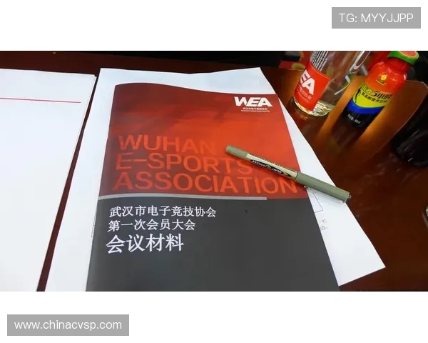 刘敏专访:从职业赛场到电竞文化的传承与发展之路 刘敏专访:从职业赛场到电竞文化的传承与发展之路