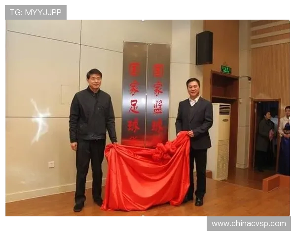 武汉排球队中路突破创新之路探秘与发展展望