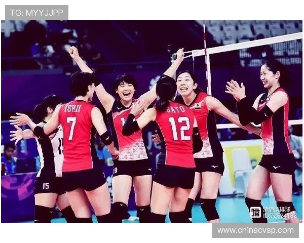 深度解析上海排球队战术配合与对手的差异与优势