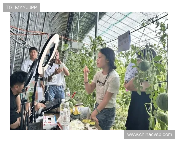 京东与冈山绿鸡的较量:电商巨头如何影响地方特色农产品的发展 京东与冈山绿鸡的较量:电商巨头如何影响地方特色农产品的发展