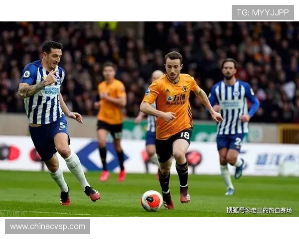 天狼星与库尔德人对决前瞻分析及比赛结果预测解析