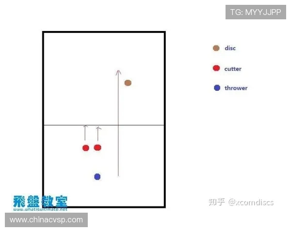 杭州飞盘队防守策略分析与比赛表现评估