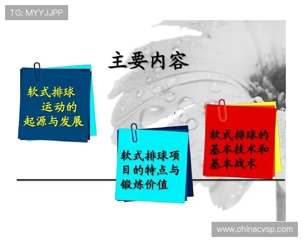深入分析上海排球队的节奏打法与战术特点探讨