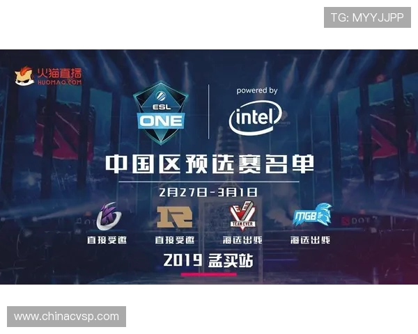 DOTA2战队LNG团队配合分析与战术探讨全景解析