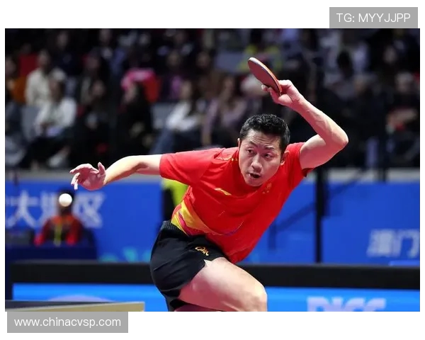 乒乓球耐力排行榜揭晓上海乒乓球队荣获第二名成就辉煌